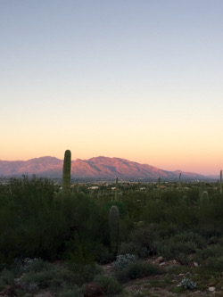 Photo of Catalinas.